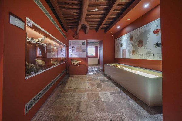 Casa dos Fosseis - Centro de Interpretação Ambiental Dalberto Pombo - Santa Maria